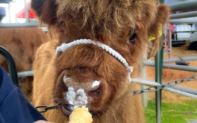 Turriff Show Photography Competition Winner